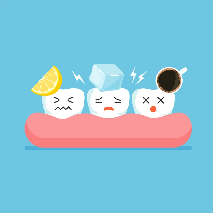 Cartoon teeth with different types of teeth